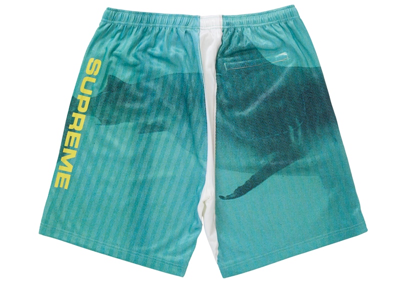 Supreme Damien Hirst Soccer Short White