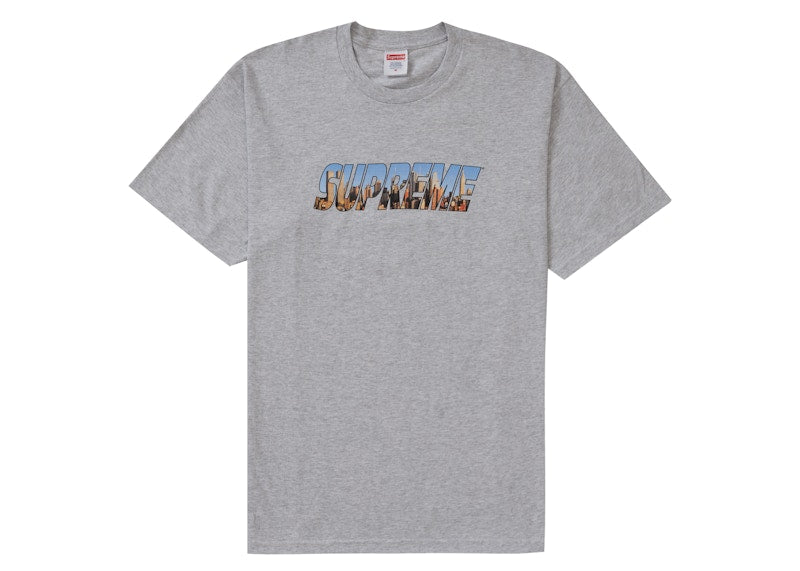 Supreme Gotham Tee Ash Grey