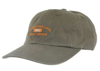 Supreme New York Arc 6-Panel Olive