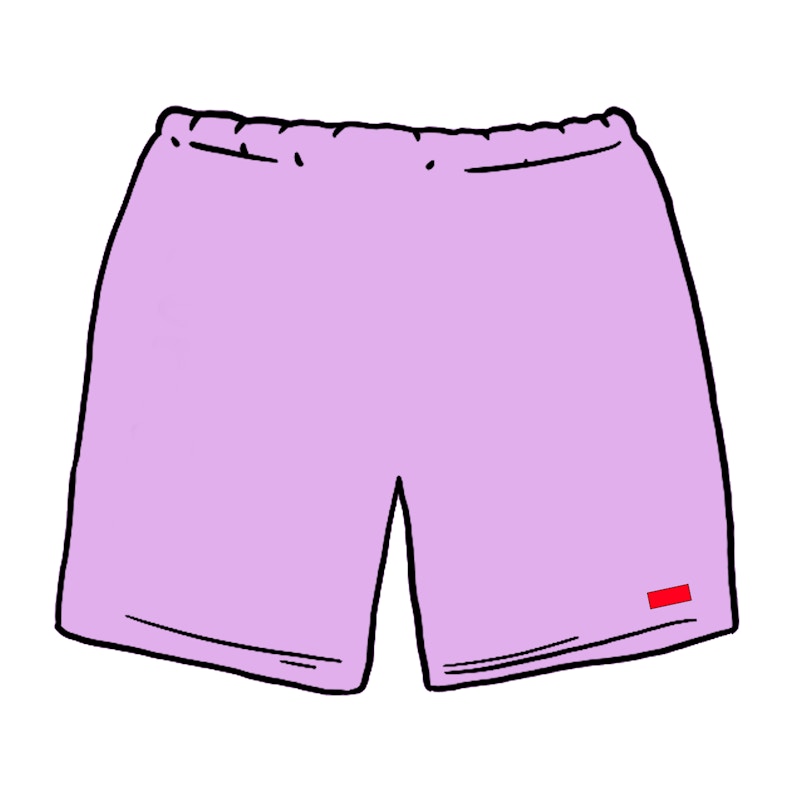 Supreme Nylon Water Short (SS20) Pale Purple