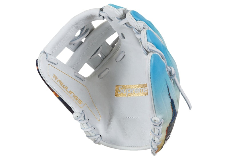 Supreme Rawlings REV1X Aerial Baseball Glove Multicolor