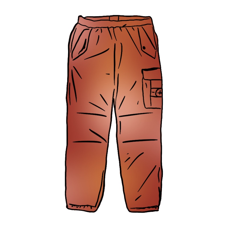 Supreme Stone Island Painted Camo Nylon Cargo Pant Coral
