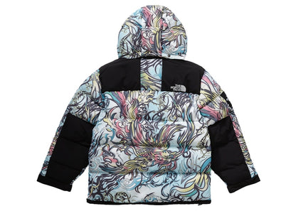 Supreme The North Face 700-Fill Down Parka Multicolor Dragon
