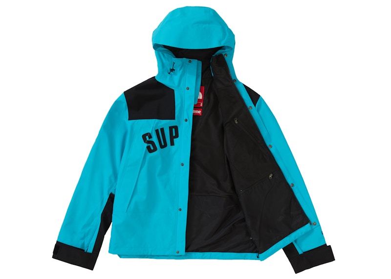 Supreme The North Face Arc Logo Mountain Parka Teal
