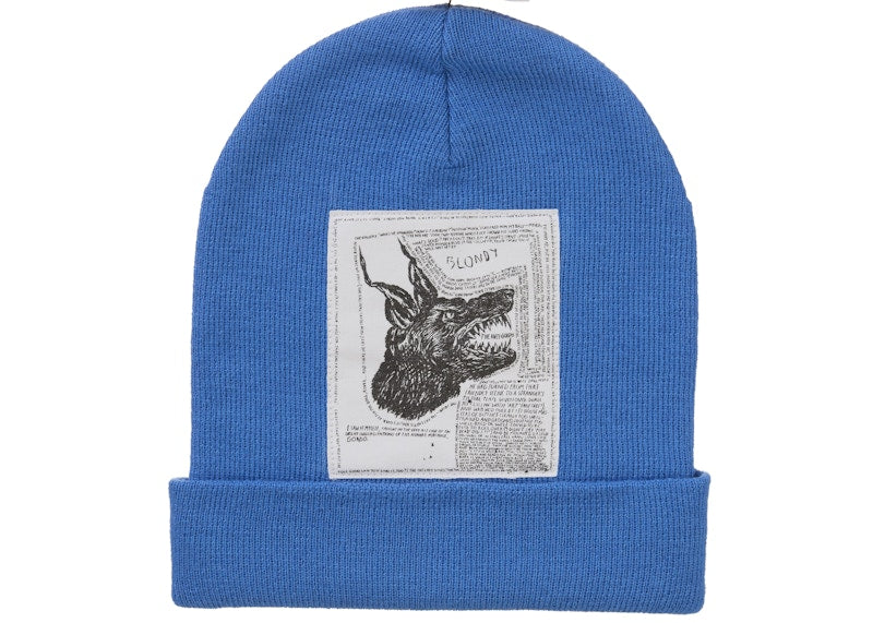 Supreme The North Face Beanie (FW24) Blue