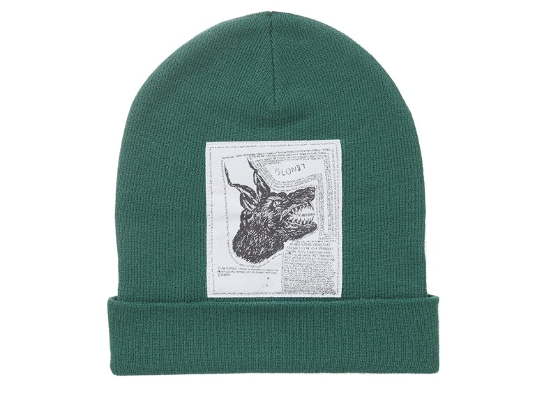 Supreme The North Face Beanie (FW24) Green