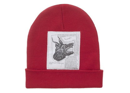 Supreme The North Face Beanie (FW24) Red