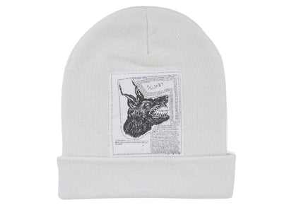 Supreme The North Face Beanie (FW24) White