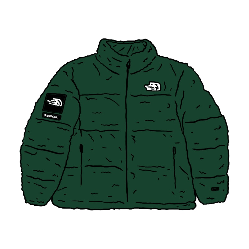 Supreme The North Face Faux Fur Nuptse Jacket Green