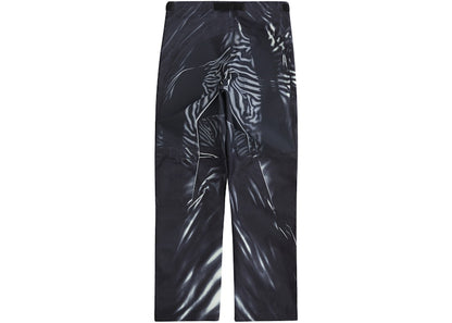 Supreme The North Face Printed Mountain Pant Black