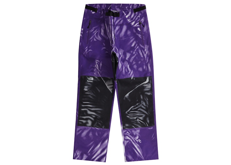 Supreme The North Face Printed Mountain Pant Purple