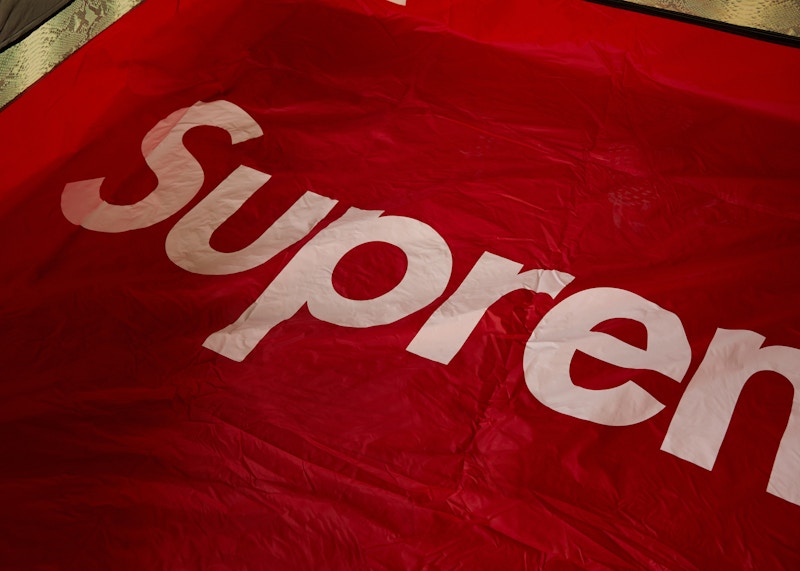 Supreme The North Face Snakeskin Taped Seam Stormbreak 3 Tent Green
