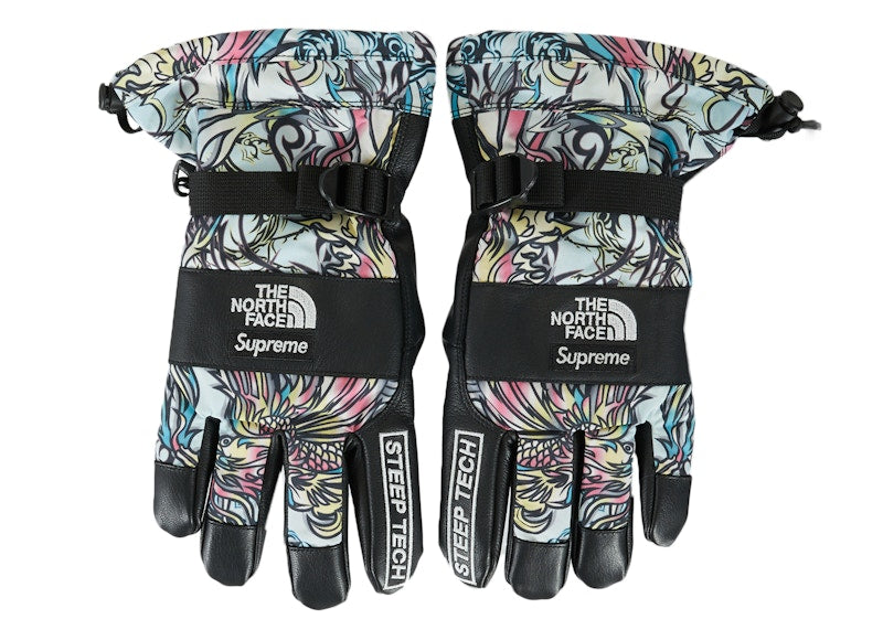 Supreme The North Face Steep Tech Gloves Multicolor Dragon
