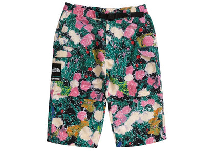 Supreme The North Face Trekking Zip-Off Belted Pant Flowers
