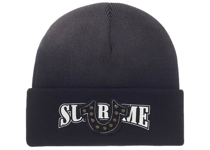Supreme True Religion Beanie (FW25) Black