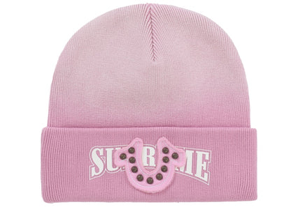 Supreme True Religion Beanie (FW25) Pink