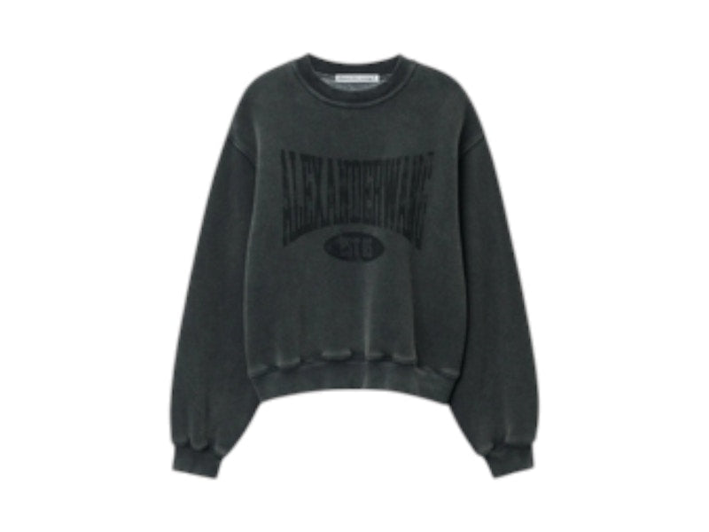 T by Alexander Wang Graphic Crewneck Sweatshirt Silver