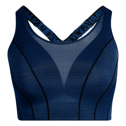 adidas Ivy Park Halls of Ivy High Support Bra (Plus Size) Dark Blue