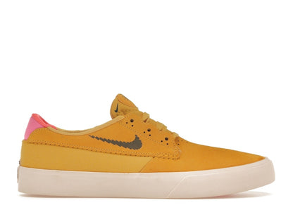 Nike SB Shane T Pollen