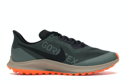 Nike Zoom Pegasus 36 Trail Gore-tex Galactic Jade