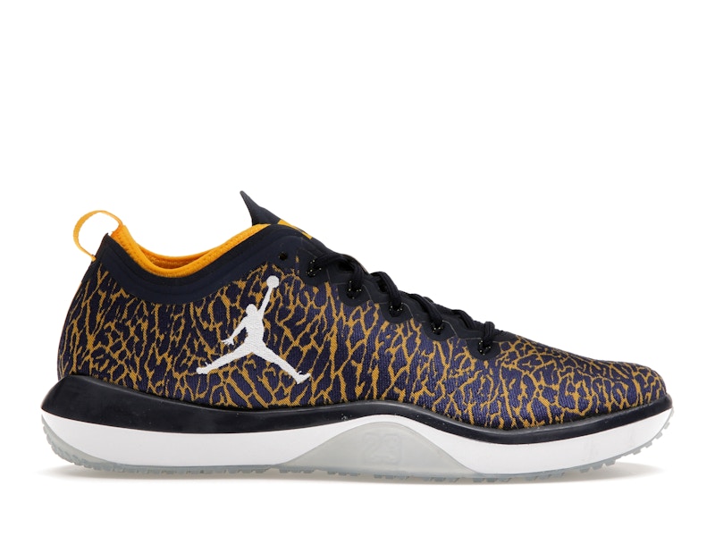 Jordan Trainer 1 Low Michigan