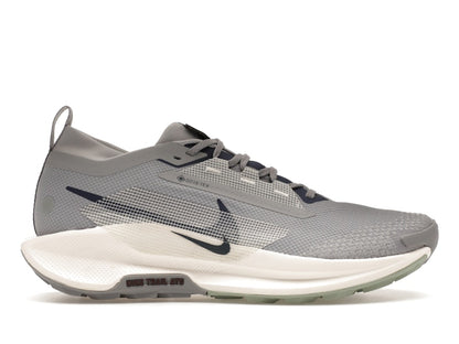 Nike React Pegasus Trail 5 Gore-Tex Cement Grey Jade Horizon Burgundy Crush Midnight Navy