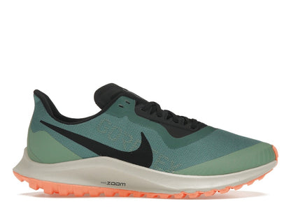 Nike Zoom Pegasus 36 Trail Gore-Tex Bicoastal (Women's)