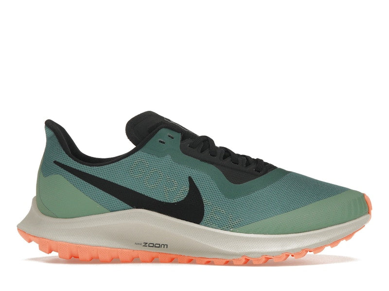 Nike Zoom Pegasus 36 Trail Gore-Tex Bicoastal (Women's)