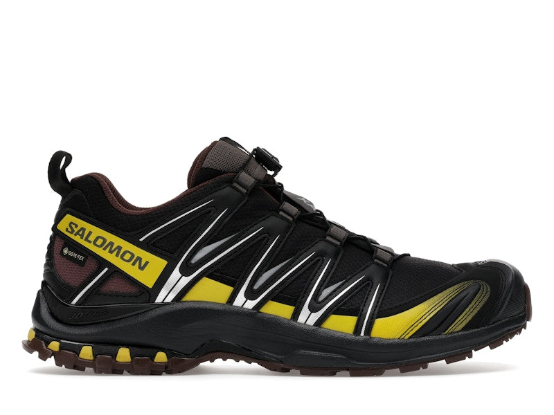 Salomon XA Pro 3D Gore-Tex Cress Green French Roast