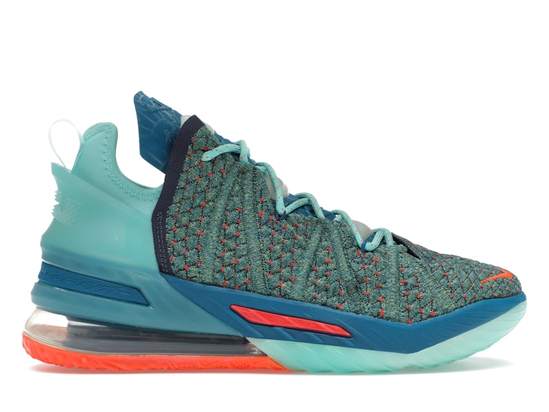 Nike LeBron 18 We Are Family