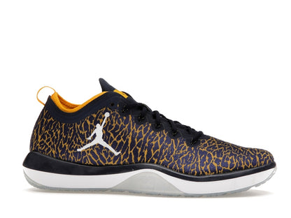 Jordan Trainer 1 Low Michigan