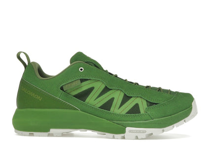 Salomon Alpinway SP2 Philéo Landowski Treetop