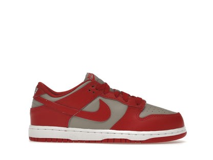 Nike Dunk Low UNLV (PS)