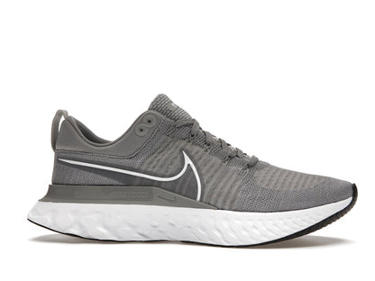 Nike React Infinity Run Flyknit 2 Particle Grey