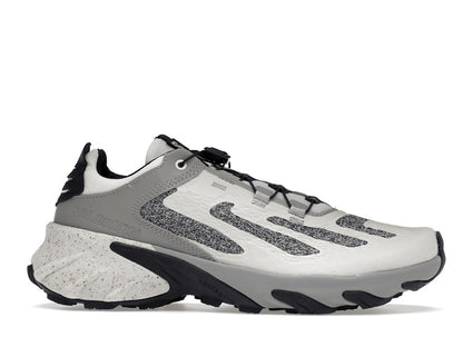 Salomon Speedverse PRG Nimbus Cloud Alloy