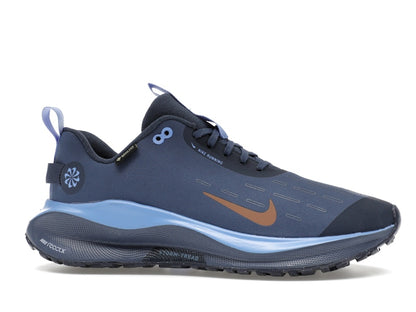 Nike React Infinity Run 4 Gore-Tex Thunder Blue Diffused Blue Royal Pulse Metallic Red Bronze (Women's)