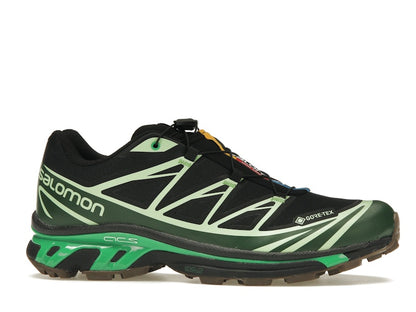 Salomon Advanced XT-6 Gore-Tex Eden Green Ash