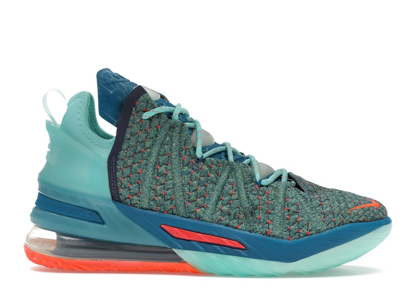 Nike LeBron 18 We Are Family