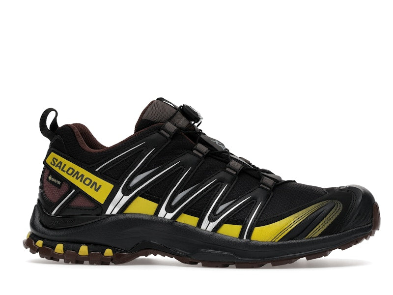 Salomon XA Pro 3D Gore-Tex Cress Green French Roast