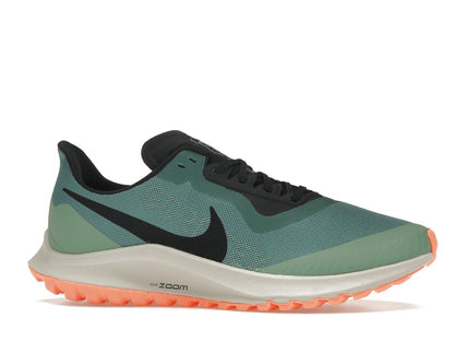 Nike Zoom Pegasus 36 Trail Gore-Tex Bicoastal (Women's)