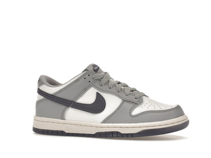 Nike Dunk Low Platinum Tint Light Carbon (GS)