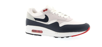 Nike Air Max 1 Patch Paris