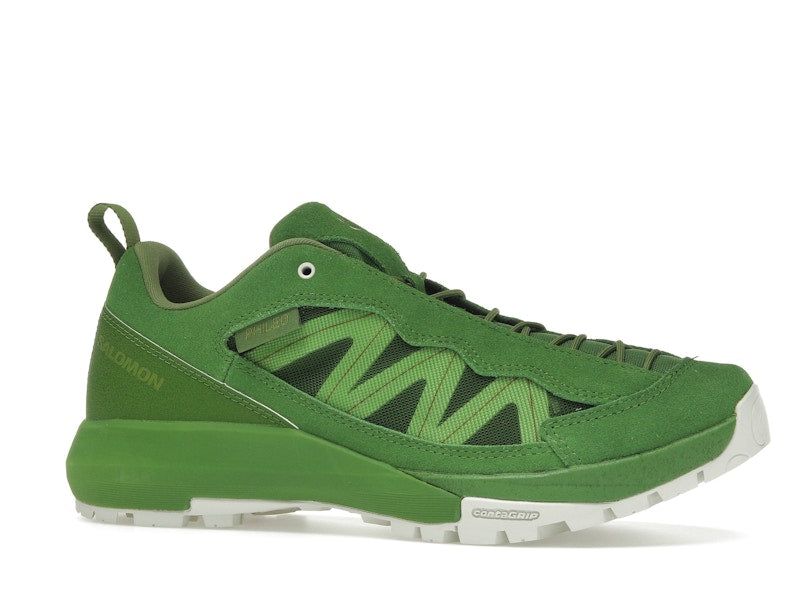 Salomon Alpinway SP2 Philéo Landowski Treetop