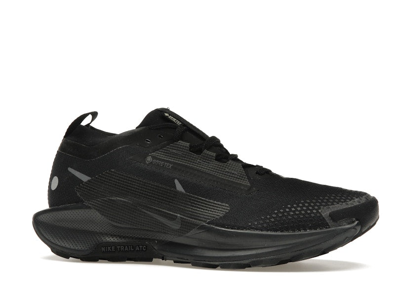 Nike React Pegasus Trail 5 Gore-Tex Black Anthracite