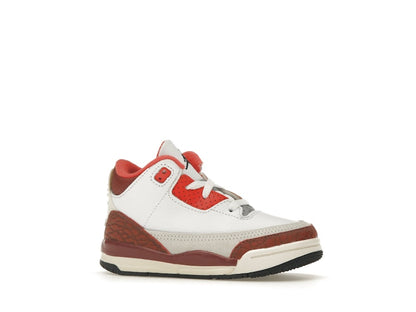 Jordan 3 Retro SE Dunk on Mars (TD)