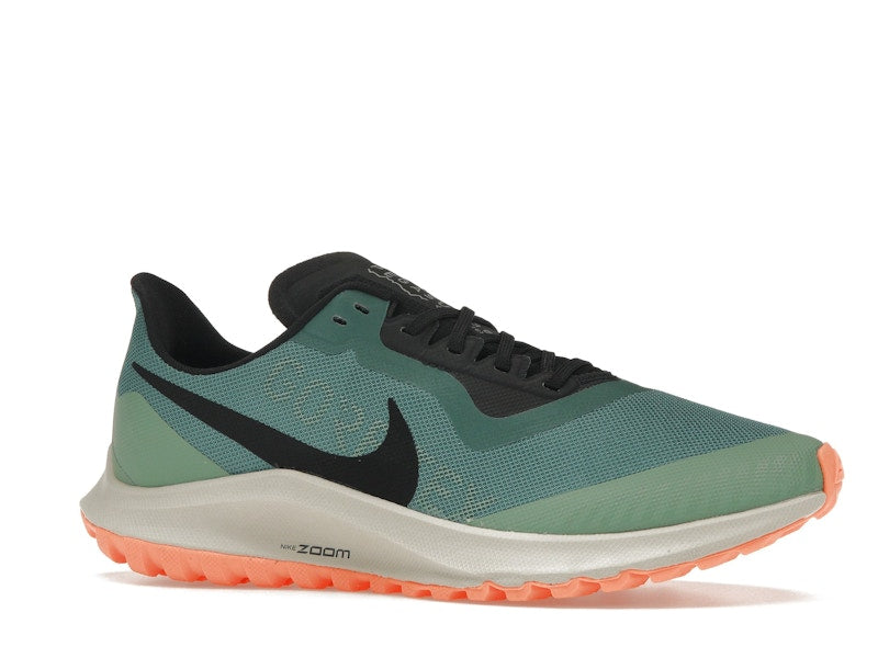 Nike Zoom Pegasus 36 Trail Gore-Tex Bicoastal (Women's)