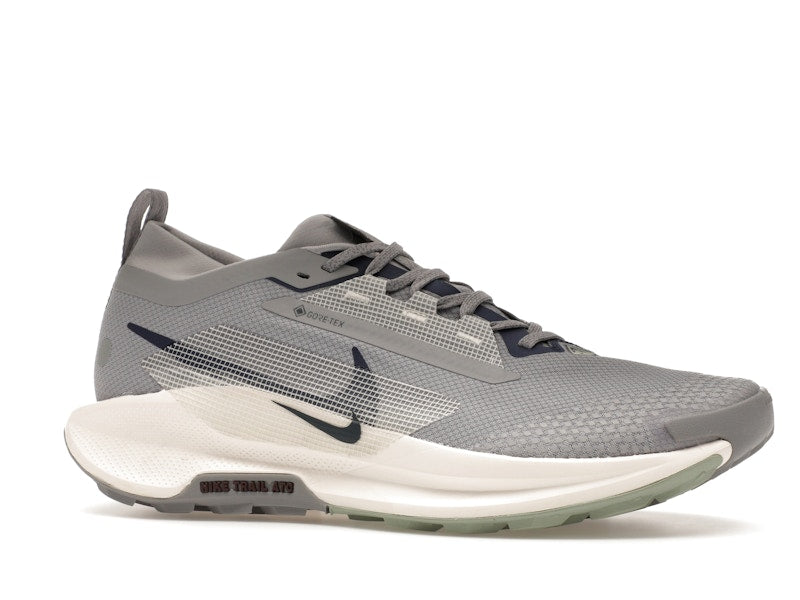 Nike React Pegasus Trail 5 Gore-Tex Cement Grey Jade Horizon Burgundy Crush Midnight Navy