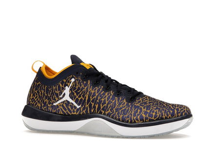 Jordan Trainer 1 Low Michigan