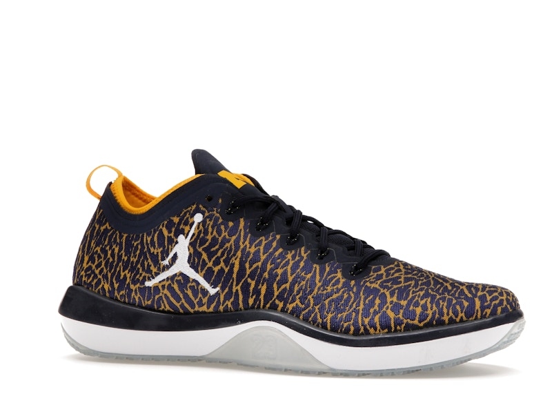 Jordan Trainer 1 Low Michigan