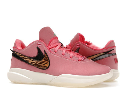 Nike LeBron 20 South Beast